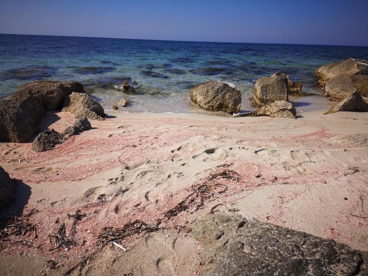 Casa Vacanza Da Samuele San Vito Lo Capo Exteriör bild